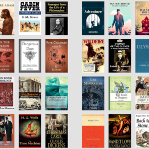 1000 timeless classic & famous novels in digital format.(PLR_MRR).