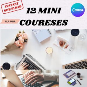 Lot de 12 mini-cours de marketing numérique + 799 vidéos exclusives sans visage en primePrésentationPercez les secrets .